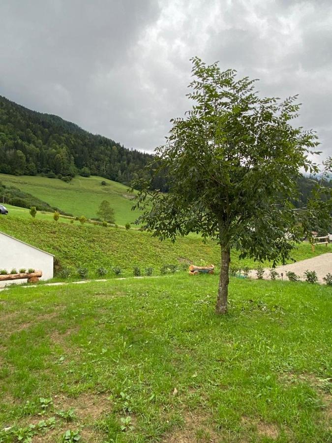 Apartman Apartma Lupis *